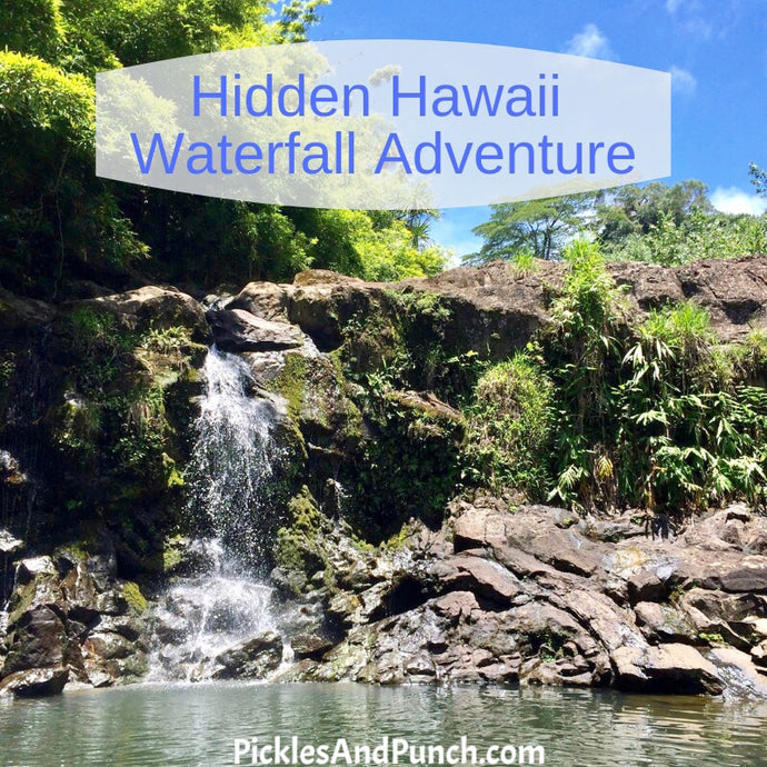 Hidden Hawaii Waterfall Adventure